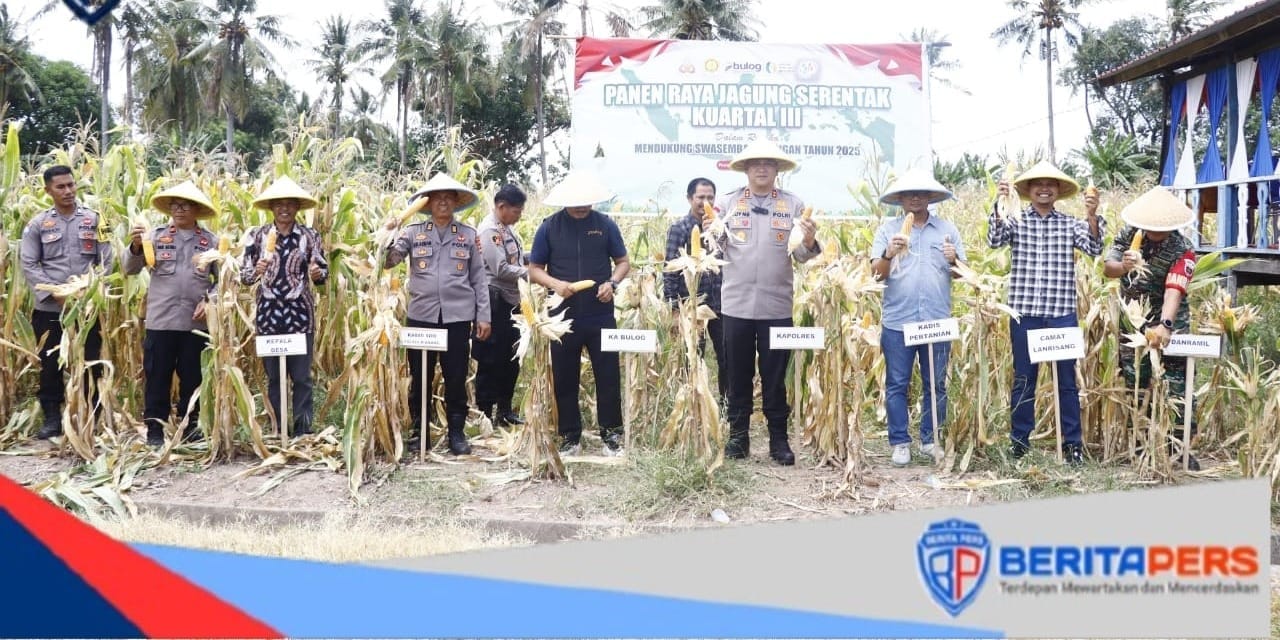 Panen Raya Jagung Serentak Kuartal III, Dukung Program Ketahanan Pangan Nasional