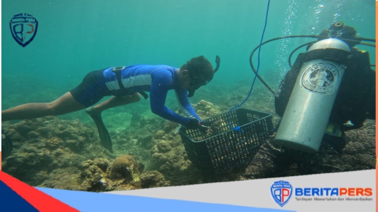 Transplantasi Terumbu Karang Tahap Kedua Dimulai di Wilayah Kerja Pos TNI AL