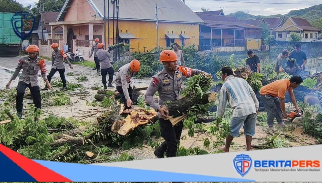 Tim SAR Batalyon B Pelopor Satuan Brimob Evakuasi Pohon Tumbang di Jalan Poros