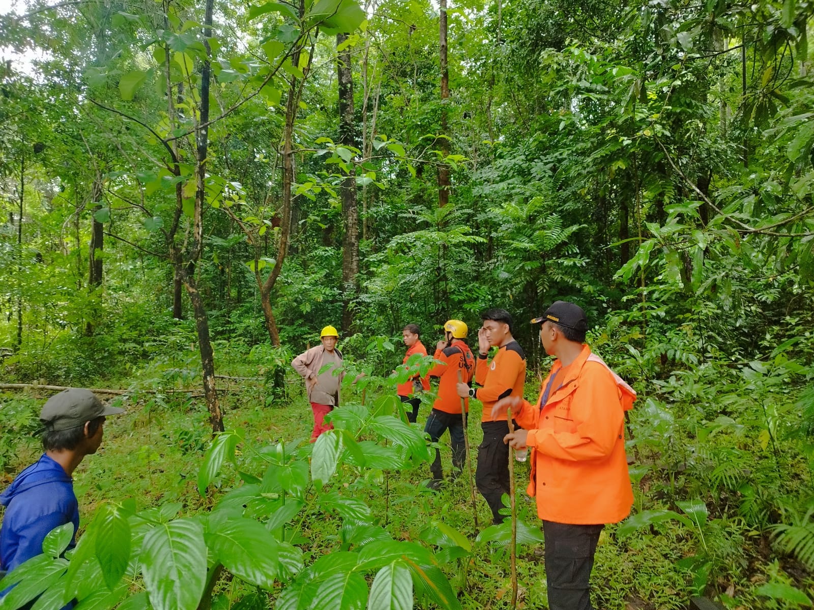 Basarnas Makassar Kerahkan Tim Gabungan Cari Lansia Pikun yang Hilang di Hutan Manuju
