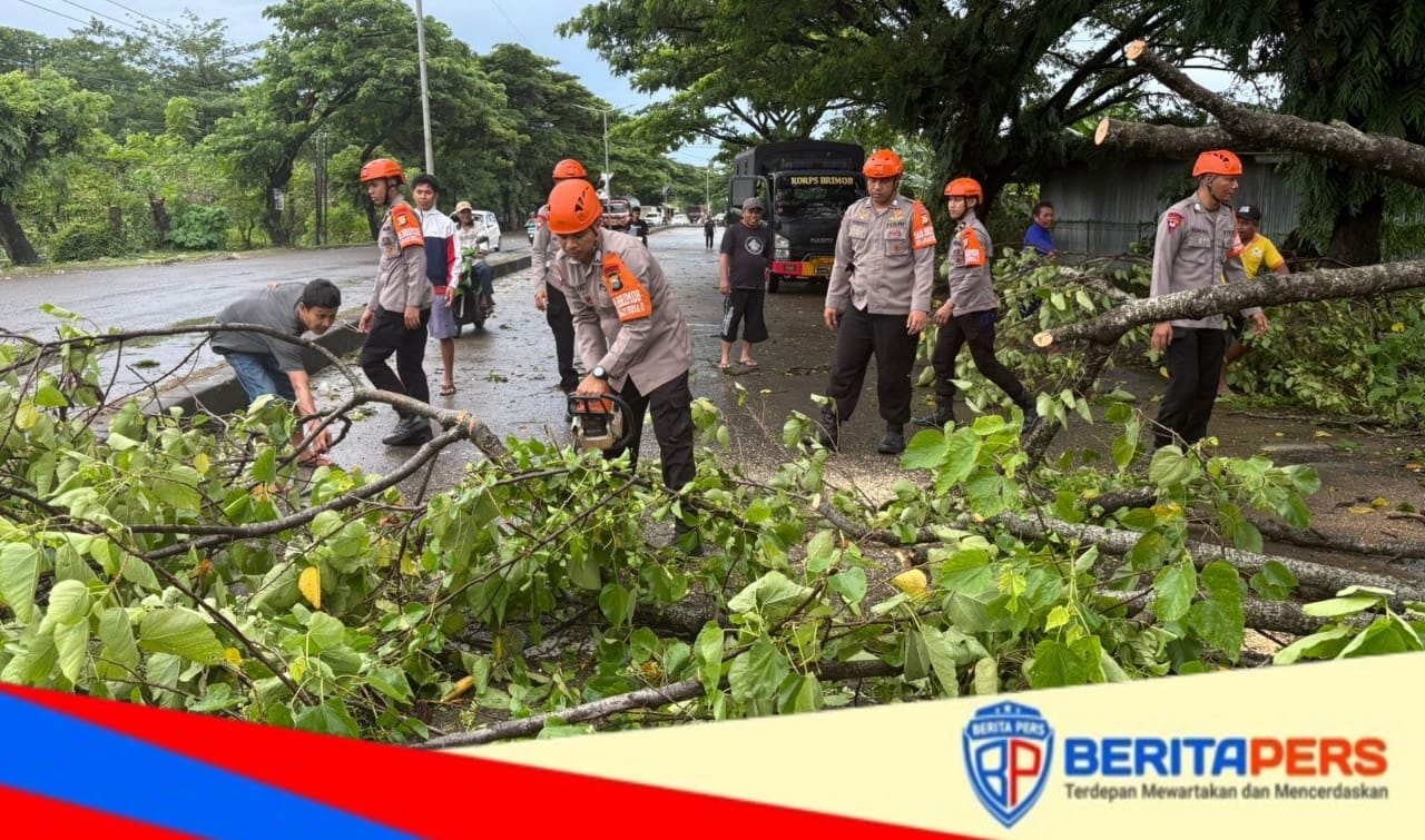 Tim SAR Batalyon B Pelopor Brimob Evakuasi Pohon Tumbang di Jalur Poros Barru–Makassar