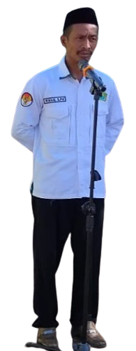 Irwan, S.PdKepala Madrasah Bolaromang