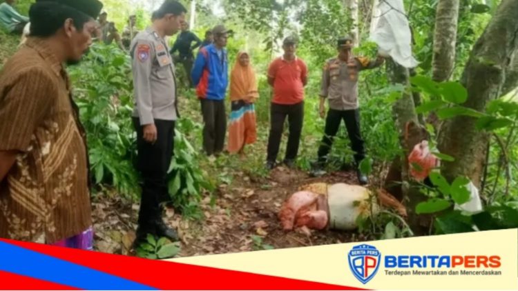 Sadis! Pencuri Sapi di Sinjai Timur Sembelih Ternak Warga di Pinggir Sungai, Hanya Sisakan Isi Perut