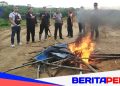 Arena Judi Sabung Ayam Dibakar, Saat Operasi Polsek Bulukumpa