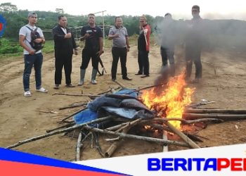 Arena Judi Sabung Ayam Dibakar, Saat Operasi Polsek Bulukumpa