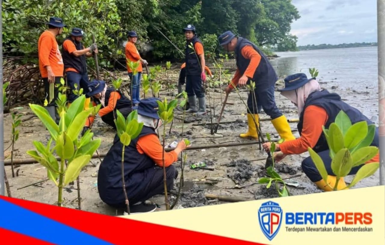 Pemkab Pinrang Perkuat Mitigasi Abrasi melalui Penanaman Mangrove di Pesisir Pantai Suppa