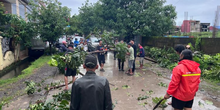 Aksi Cepat Warga dan Petugas Evakuasi Pohon Tumbang di Minasa Upa