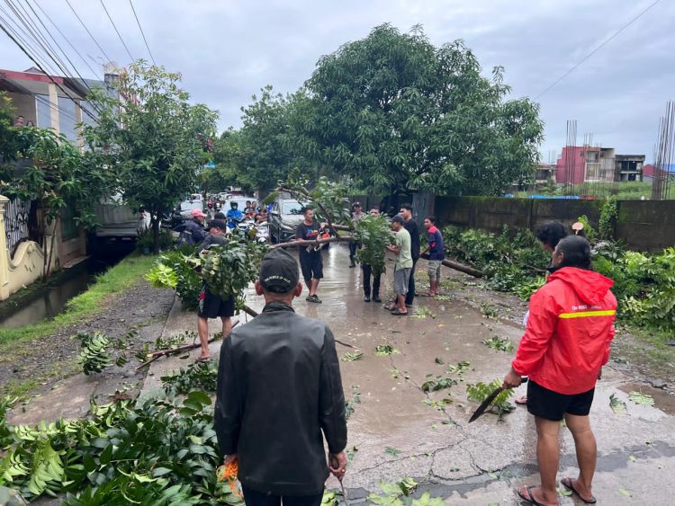 Aksi Cepat Warga dan Petugas Evakuasi Pohon Tumbang di Minasa Upa