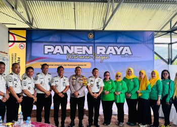 Lapas Palopo Ikuti Panen Raya Serentak Ketahanan Pangan Pemasyarakatan Nasional
