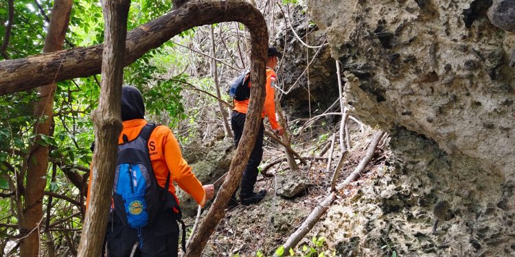 Basarnas Lanjutkan Pencarian Lansia Tersesat di Hutan Alasa Selayar