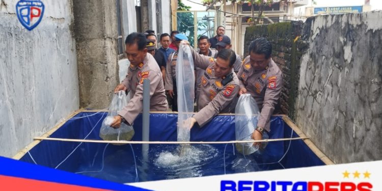Pelopori Pemanfaatan Lahan Kosong, Polsek KPN Polres Parepare Kembangkan Budidaya Ikan Nila