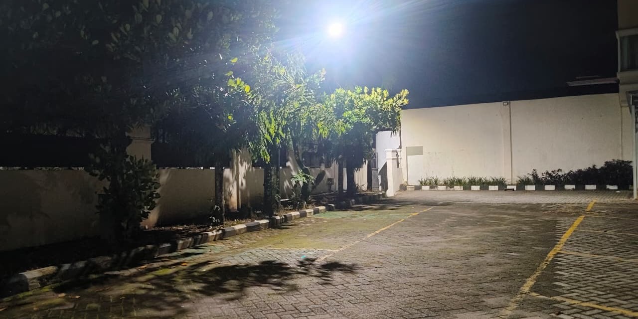 Bayang-Bayang Pohon Nangka di Bawah Lampu Yang Jujur