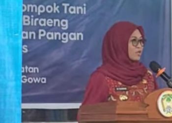 Peringatan Hari Desa Nasional di Gowa: Bupati Husniah Talenrang Dorong Kemandirian Desa Melalui Program One Day One District