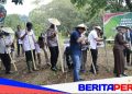 Polda Sulsel Tanam Jagung di Lahan 812 Hektar Pada Kuartal 1 Tahun 2026