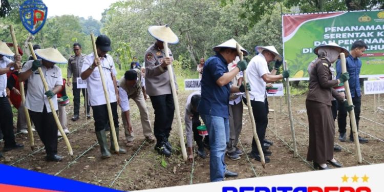 Polda Sulsel Tanam Jagung di Lahan 812 Hektar Pada Kuartal 1 Tahun 2026