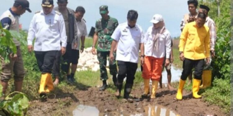 Wali Kota Munafri Respon Aspirasi Warga, Rp4 Miliar untuk Perbaikan Jalan di Romang Tongayya