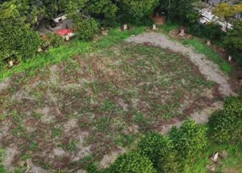 GEMPAR Makassar Pertanyakan Kelanjutan Proyek Revitalisasi Karebosi