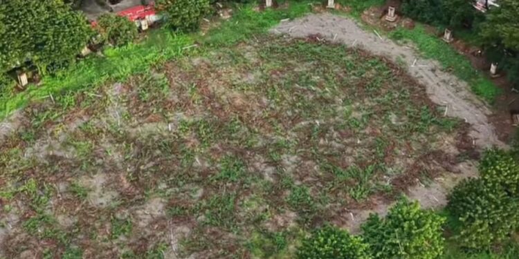 GEMPAR Makassar Pertanyakan Kelanjutan Proyek Revitalisasi Karebosi