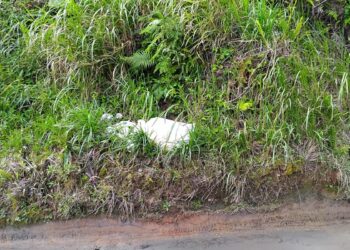 Kesadaran Lingkungan Rendah, Bahu Jalan Poros Bolaromang-Sinjai Jadi Tempat Pembuangan Sampah Liar