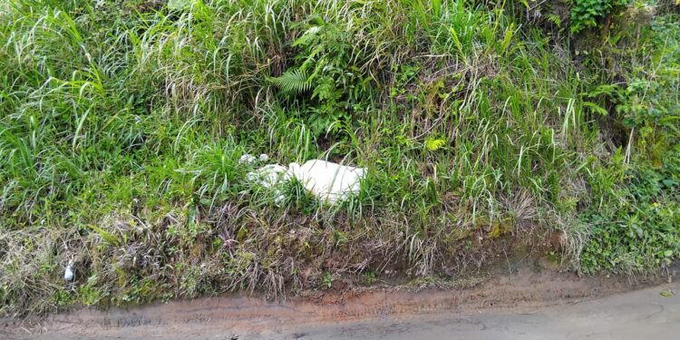 Kesadaran Lingkungan Rendah, Bahu Jalan Poros Bolaromang-Sinjai Jadi Tempat Pembuangan Sampah Liar
