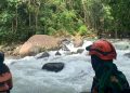 Hari Kelima Pencarian Korban Tenggelam di Sungai Bilareng, Tim SAR Gabungan Sisir Empat Sektor