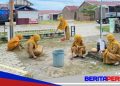 Puskesmas Lanrisang Laksanakan Kerja Bakti Wujudkan Lingkungan Bersih dan Sehat dalam Program Indonesia Asri