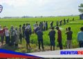 Sinergi Pemerintah dan Kepolisian di Lanrisang: Pengendalian Hama Padi Demi Menjaga Produktivitas Petani