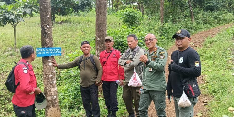 KPH Kelara DLHK Sulsel Gelar Patroli Perlindungan Hutan dan Aksi Bersih di Jalur Pendakian Bulu Pengka
