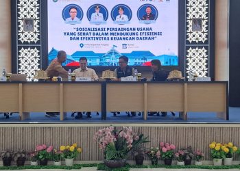 Mitigasi Pelanggaran Persaingan Usaha Sektor Pengadaan Barang dan Jasa, Pemkab Pangkep Libatkan KPPU