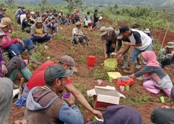 Warga Bulu’lohe Desa Balassuka Kecamatan Tombolo Pao Kabupaten Gowa Menunjukkan Semangat Kebersamaan Dalam Upaya Meningkatkan Kondisi Lingkungan.