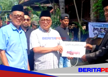 Bupati Takalar Serahkan Sapi Kurban Bantuan Presiden Prabowo Berbobot Satu Ton