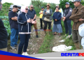 ​Buka Isolasi Jalan Parangbugisi dan Dongkrak Wisata Malino, Bupati Gowa Kebut Pengaspalan Tiga Ruas Strategis