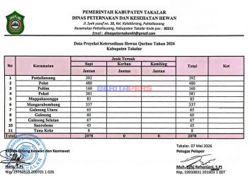 ​Jelang Idul Adha, Dinas Peternakan Takalar Rilis Proyeksi Ketersediaan Ribuan Sapi Kurban