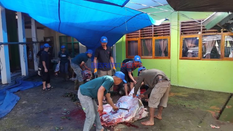 ​Warga Bolaromang Kompak Sembelih Enam Hewan Kurban di Masjid Al-Irsyad