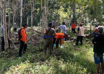 Basarnas Makassar Turunkan Tim Cari Lansia Hilang di Bone