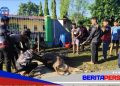 Suasana Kebersamaan Warnai Hari Kedua Penyembelihan Hewan Kurban di Masjid Nurul Askar Brimob Parepare