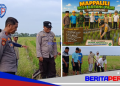 Tradisi Mappalili Tandai Dimulainya Musim Tanam di Desa Barang Palie, Forkopimca Hadir Dukung Ketahanan Pangan