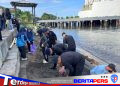 Brimob Sulsel Kolaborasi dengan SKPD Parepare Bakti Sosial di Kawasan Wisata Pantai