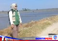 Kadis TPH Pinrang Tegaskan Tidak Ditemukan Lahan Sawah Mengalami Kekeringan, Mitigasi Dilakukan Sejak Dini