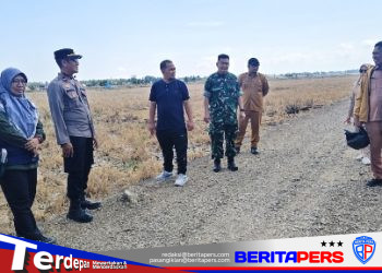 IPDA Irwan Asmadi Perkuat Sinergi Lintas Sektor Kawal Musim Tanam dan Antisipasi Dampak El Nino di Lanrisang
