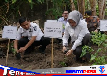 Kapolres Parepare Dukung Penurunan Stunting, Tanam Bibit Cabai Bersama Wagub Sulsel di Lumpue
