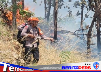 Respons Cepat Tim SAR Batalyon B Pelopor Cegah Api Meluas saat Kebakaran Lahan di Parepare