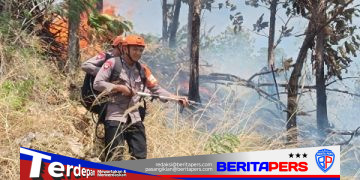 Respons Cepat Tim SAR Batalyon B Pelopor Cegah Api Meluas saat Kebakaran Lahan di Parepare