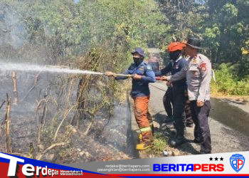 Respons Cepat Tim SAR Batalyon B Pelopor Brimob Polda Sulsel Padamkan Kebakaran Lahan di Parepare