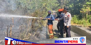 Respons Cepat Tim SAR Batalyon B Pelopor Brimob Polda Sulsel Padamkan Kebakaran Lahan di Parepare