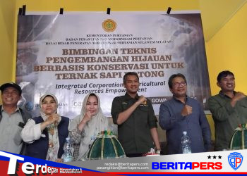 ​Genjot Produktivitas Sapi Potong, Koperasi Bolaromang dan BPMP I-CARE Gelar Bimtek Pakan Modern