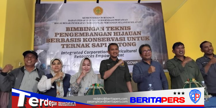 ​Genjot Produktivitas Sapi Potong, Koperasi Bolaromang dan BPMP I-CARE Gelar Bimtek Pakan Modern
