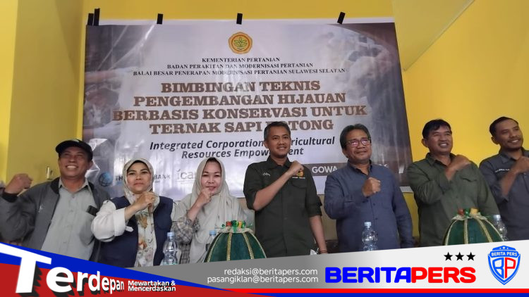 ​Genjot Produktivitas Sapi Potong, Koperasi Bolaromang dan BPMP I-CARE Gelar Bimtek Pakan Modern