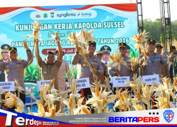 Kapolda Sulsel Hadiri Panen Raya Jagung Kuartal III di Sidrap, Dukung Swasembada Pangan Nasional
