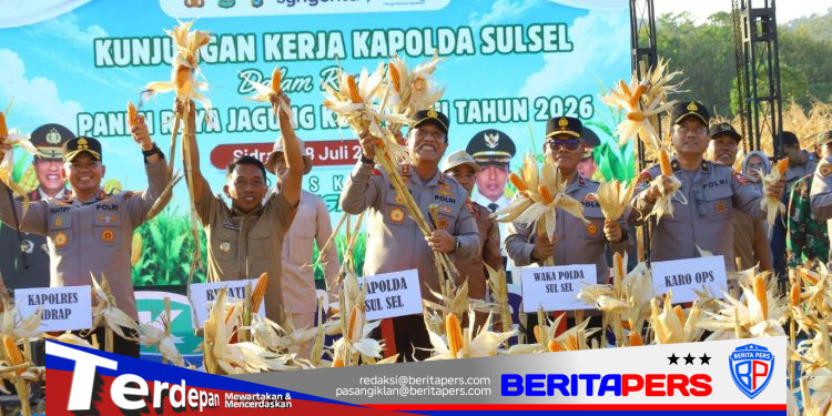 Kapolda Sulsel Hadiri Panen Raya Jagung Kuartal III di Sidrap, Dukung Swasembada Pangan Nasional